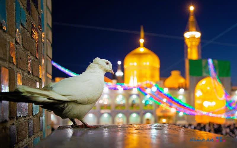 اعزام قریب به یک هزار مددجوی زنجانی به مشهد مقدس
