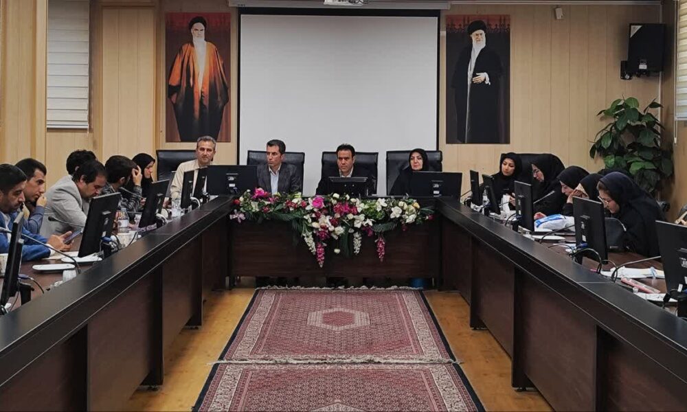تزریق ۵۰ میلیارد تومان اعتبار به باشگاه های ورزشی در شش ماه گذشته