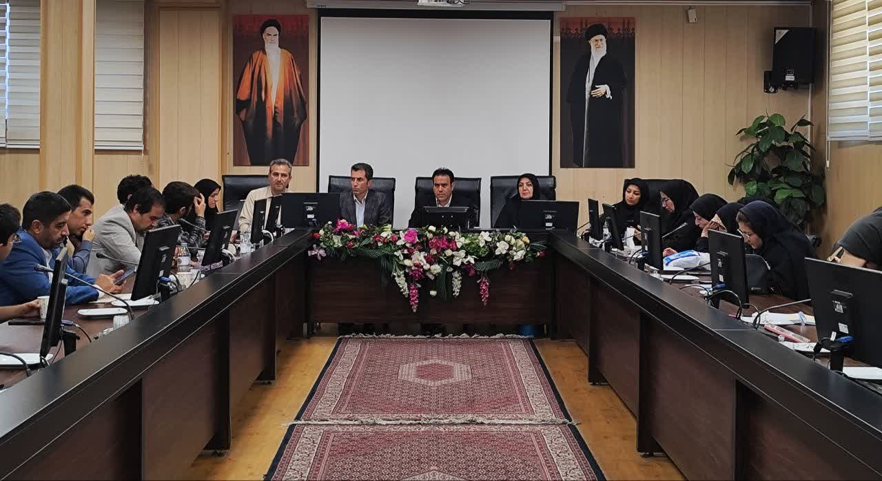 معاونت غذا و دارو زنجان؛ ناظر بر امنیت دارو و غذا در استان زنجان