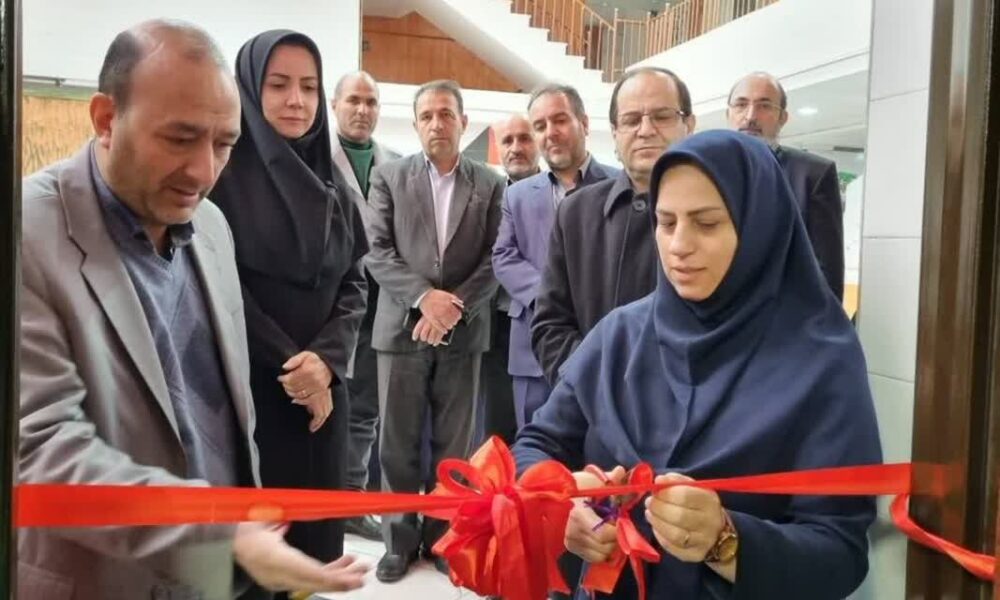 رئیس اداره کل تعاون، کار و رفاه اجتماعی زنجان: «سلام محله» فرصتی برای توسعه اشتغال افراد دارای معلولیت است